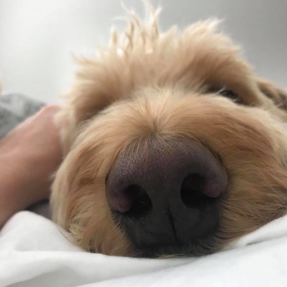 Meet your Posher, Kelley - Picture 1 of 1